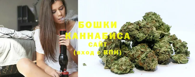 Шишки марихуана OG Kush  Петровск-Забайкальский 